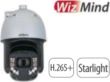 SD8C260PA-HNF