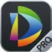 DSS Professional