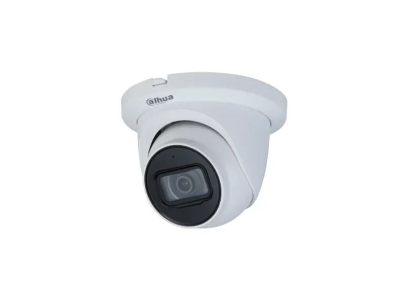 5 MP (5MP Lite IR Fixed-focal Eyeball Network Camera)