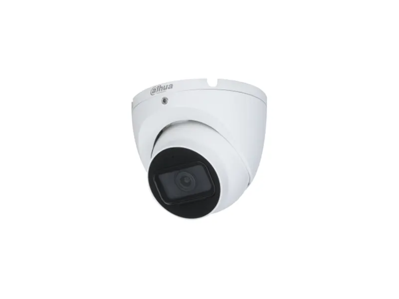 2MP HDCVI POC IR Eyeball Camera